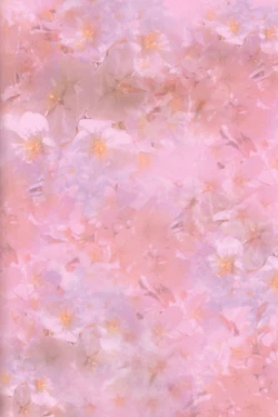 Page 2 of Niso Fuji o Kamu