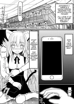 Page 8 of Hito neko no kaikata ～Hatsujohen～ | How To Raise A Humancat