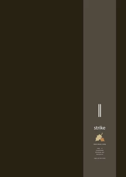 Page 2 of STRIKE