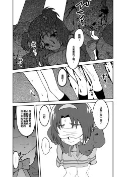 Page 11 of Precure5 Execution