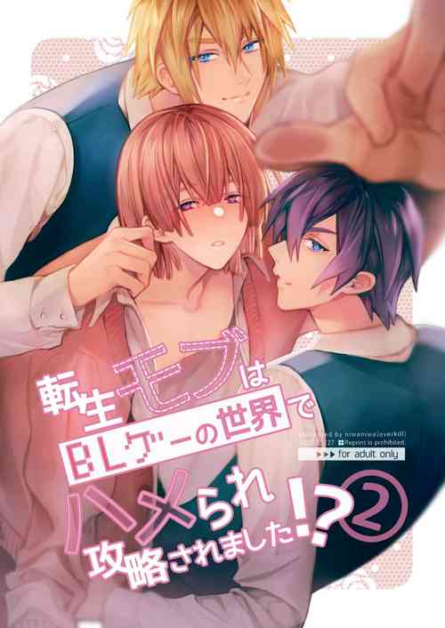 Download Tensei Mob wa BL-gee no Sekai de Hamerare Kouryakusaremashita!? 2 | Sex with the Love Interest! But I'm an NPC! 2