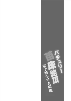 Page 3 of Patchouli Naedoko Zecchou Denma Shokushu de Daimonzetsu