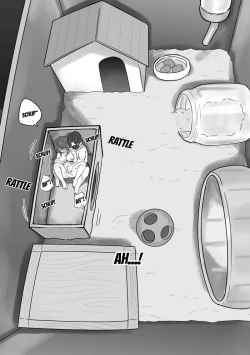 Page 20 of Couple no Suisou ni Iroiro na Osu o Irete Miyou