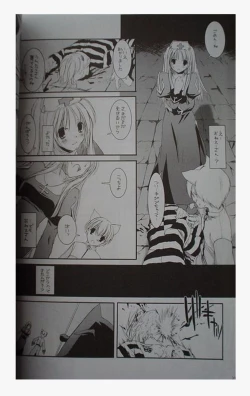 Page 250 of DL-RO Perfect Collection 01