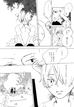 Page 18 of おとぎの森のとらきつね
