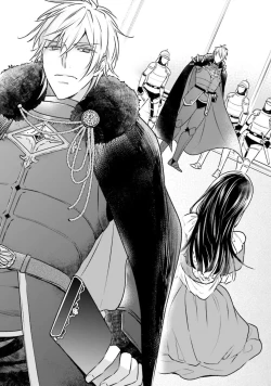 Page 27 of isekai de migawarihime ninari haou ni ubawaremashita ​| 在异世界成为了替身公主被霸王掳走了 1-12 end