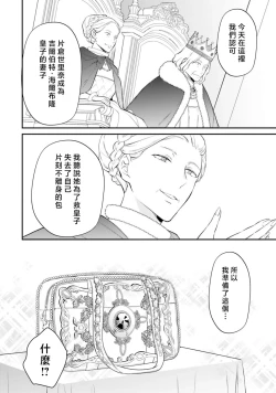 Page 344 of isekai de migawarihime ninari haou ni ubawaremashita ​| 在异世界成为了替身公主被霸王掳走了 1-12 end