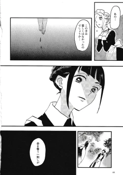 Page 49 of Rosenlitter 3&4&5