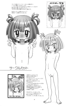 Page 21 of Hinnyuu Musume 45