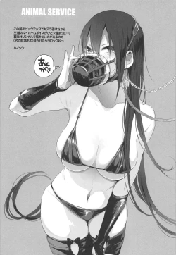 Page 257 of 动物服务合集