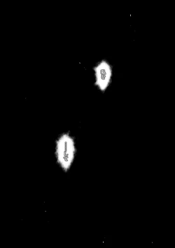 Page 370 of Chijou Hyakkai Ch71-75