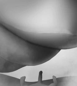 Page 441 of Female Students Working Part-Time In Prison