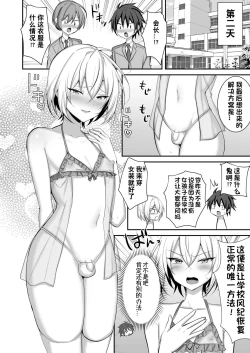 Page 3 of Seito Kaichou ga Josou Shite Fuuki Kaizen ni Torikumu Hanashi | 学生会会长女装来改善学校风纪的故事