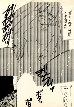 Page 32 of She... - LUNCH BOX 15