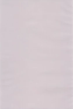 Page 3 of Naisho no koshitsu