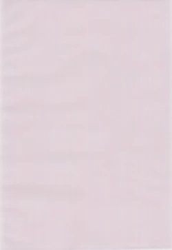 Page 4 of Naisho no koshitsu