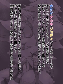 Page 2 of Jewel Heroines Defeat File 2