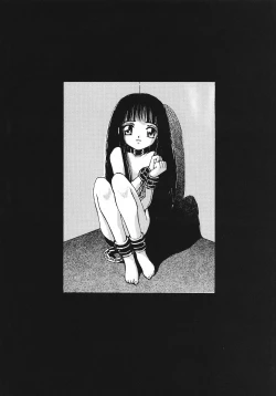 Page 38 of Shikisaiengi 3