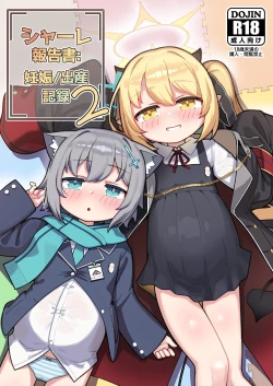 Page 1 of SCHALE Houkokusho: Ninshin / Shussan Kiroku2