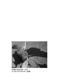 Page 17 of しかのこしこしこうでぱんぱん