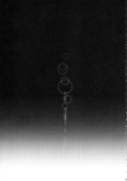 Page 34 of Solo Hunter no Seitai WORLD 11