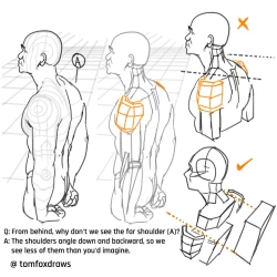 Page 2 of tomfox draws