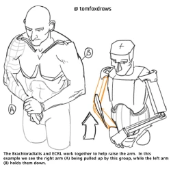 Page 4 of tomfox draws