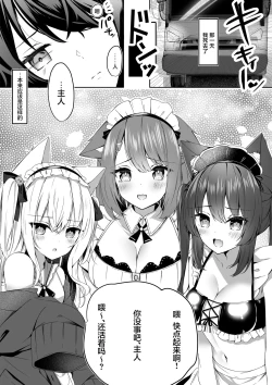 Page 2 of Maid-san Hatsujou Chuuihou!?