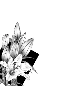 Page 3 of Constraints