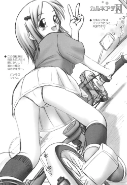 Page 10 of Carneades 2-gou