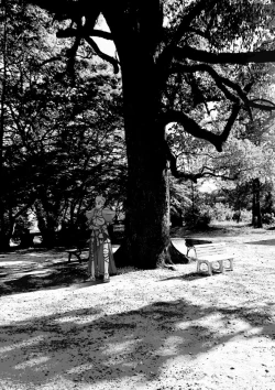 Page 45 of Kin jo shu rogu ⑪[ fate extra)