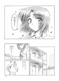 Page 17 of Final Journey