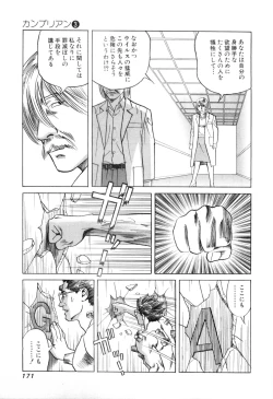 Page 173 of Cambrian Vol. 3