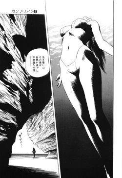 Page 79 of Cambrian Vol. 3