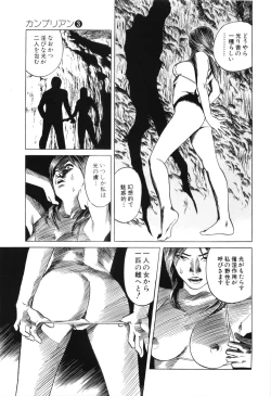 Page 81 of Cambrian Vol. 3