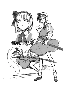 Page 28 of Touhou Enrashou Yukari | 東方艶邏抄 紫