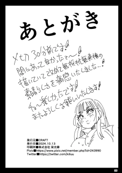 Page 24 of Muteikou Bijutsu Model Himeko