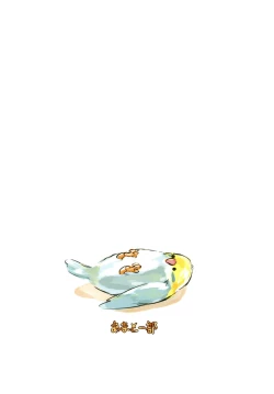 Page 26 of Shiragiku Hotaru no Kore o Mite mo... Kirai ni Naranai de Kudasai...