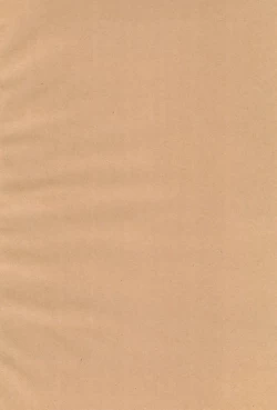 Page 4 of Kaiseibutsu, Jigoku ni Arawareru at Hell's Hawaiian Spa Center