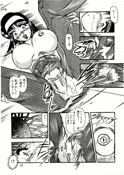 Page 13 of Saigo no Megami