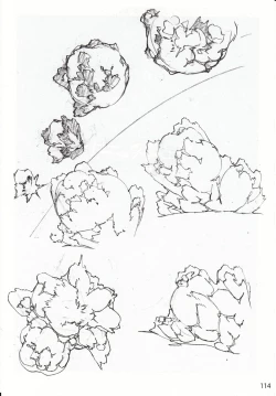 Page 230 of DEAD WOOD DESIGNS