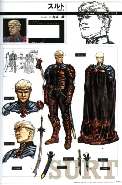 Page 6 of Valkyrie Profile Settings Data Collection_20241021