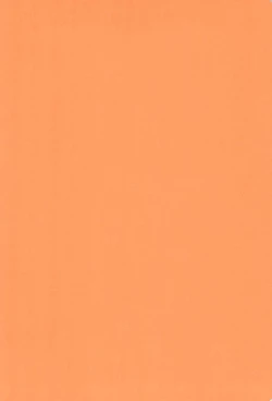 Page 4 of Osawari Genkin!