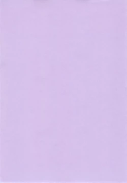 Page 3 of Nines SIDE-F