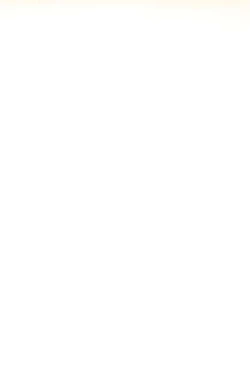 Page 135 of Makai Tenshi Djibril 3 bizyuarufanbukku