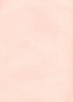 Page 2 of The Story of the Conquest of the Country - Part 1