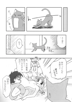 Page 43 of reichosa.com