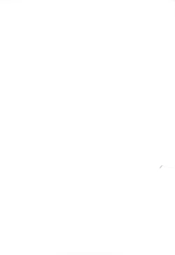 Page 17 of Ruri Plus+