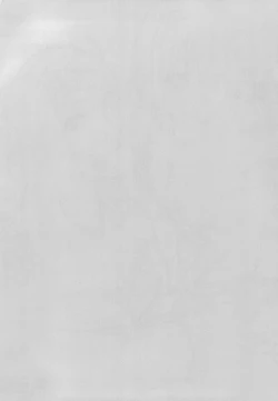 Page 3 of Seiteki okaruto