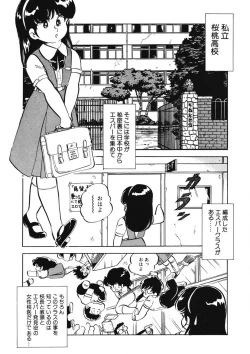 Page 24 of Lemon SOS